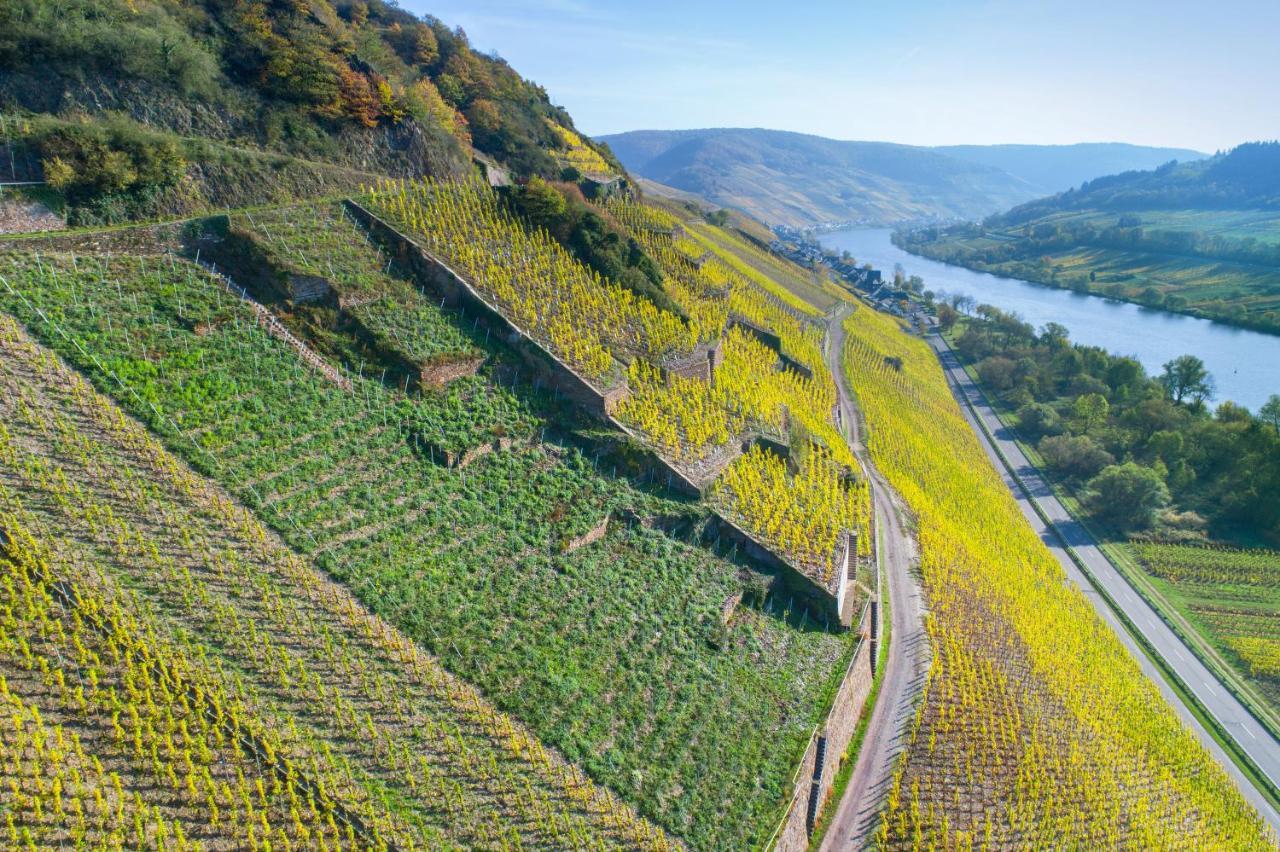 Das Haus In Spay An Der Mosel Mit Sauna 첼 안 데어 모젤 외부 사진
