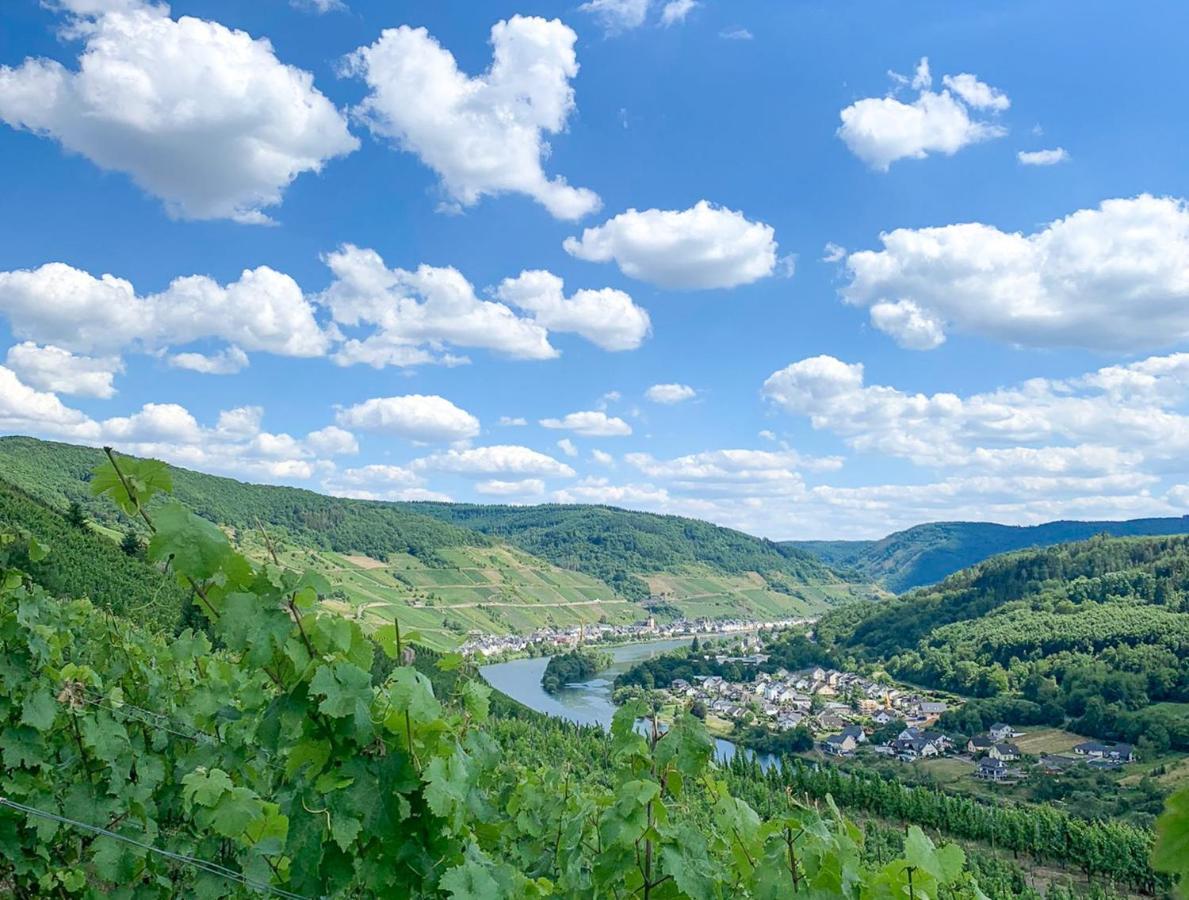 Das Haus In Spay An Der Mosel Mit Sauna 첼 안 데어 모젤 외부 사진